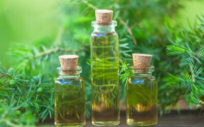 Tea Tree Oil Health Products